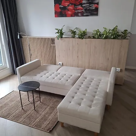 Septimiu Albini * Cluj-Napoca